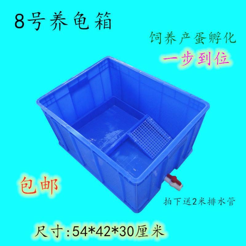含沙盘爬梯侧排水 蓝色5#箱48*36*18厘米 长方形养龟箱养龟缸超大养龟盘水产养殖箱周转箱造景龟池水族别墅