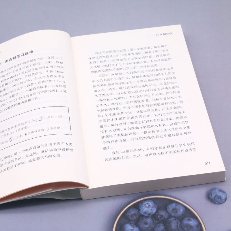 [正版]万物简介(声音是什么中英双语版)高清大图