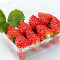 40+长丰红颜草莓 3斤 大草莓 奶油草莓 新鲜水果 陈小四水果