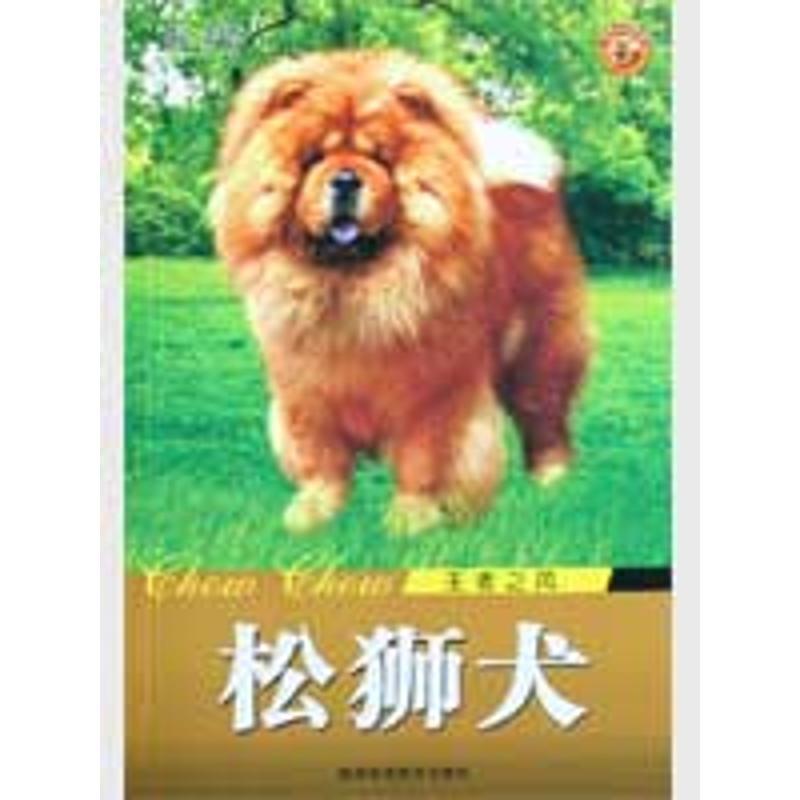 松狮犬王者之风 王晓主编著 摘要书评在线阅读 苏宁易购图书