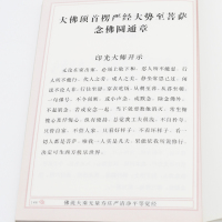 无量寿经佛说大乘无量寿庄严清净平等觉经夏莲居编五本原译会集本中华传统净土宗经典之一无量寿经读本大字注音版正版