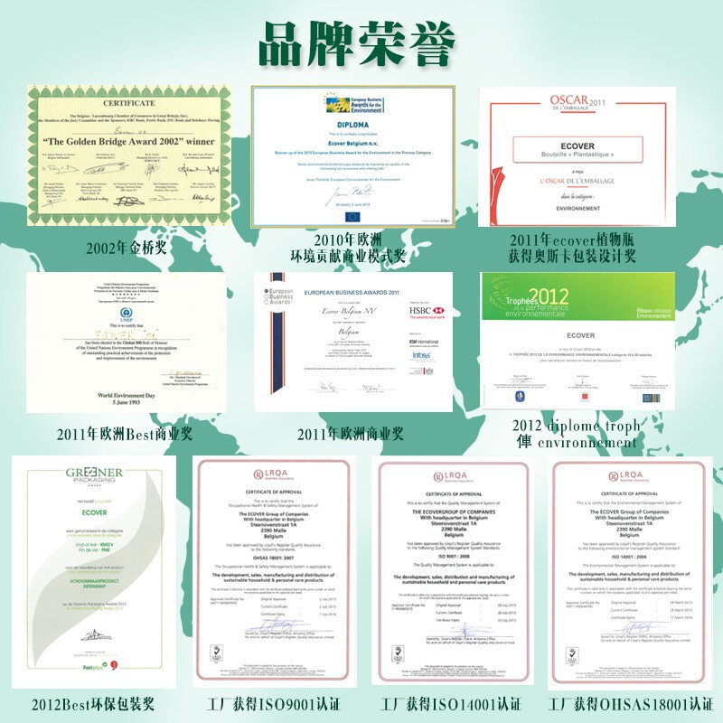 进口 天然 环保 家用 洗碗机清洁片专用洗碗机盐洗涤剂 无香型洗碗机片500克(25粒装)