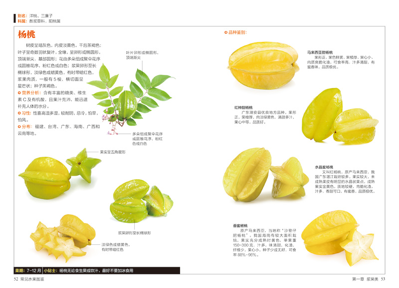 [正版]常见水果图鉴(77种水果的识别方法)/图鉴珍藏丛书 家庭养/生保健书籍 健康营养饮食 食疗书籍 食材密码高清大图