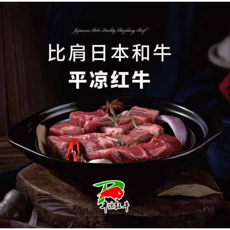 [旭康]顺丰冷链 甘肃新鲜牛肉 冷冻牛腩肉 500g*2袋 农家散养牛肉国产健身牛腿腱子肉