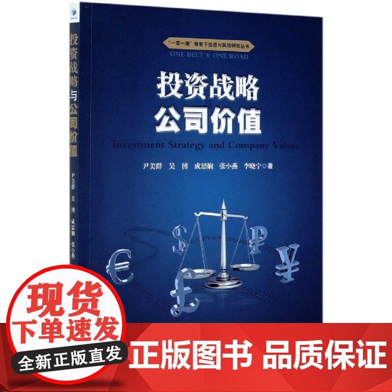 投资战略与公司价值/一带一路背景下投资与风险研究丛书高清大图
