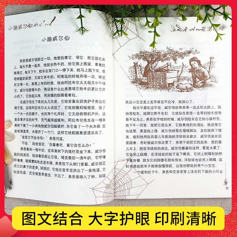 夏洛的网 [正版]夏洛的网小学生版 经典童书 上海译文8-9-12岁儿童文学四五六年级书籍非注音版三年级课外书夏洛的