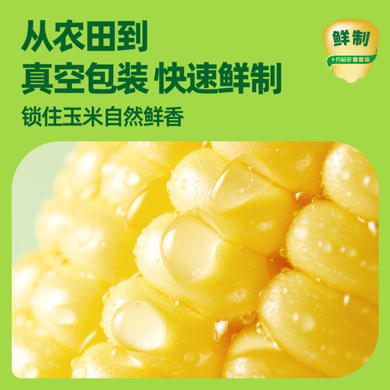 十月稻田鲜食黄糯玉米1.32kg(220gX6)高清大图