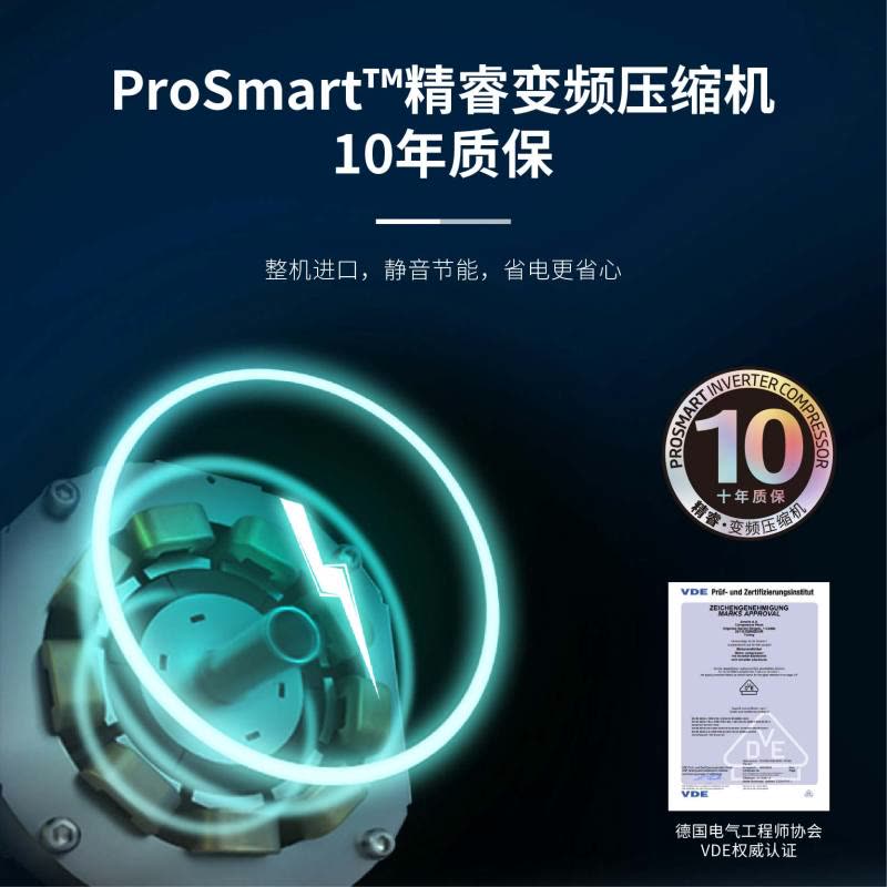 倍科大容量白色玻璃两门冰箱 RCNE560E20HGW图片