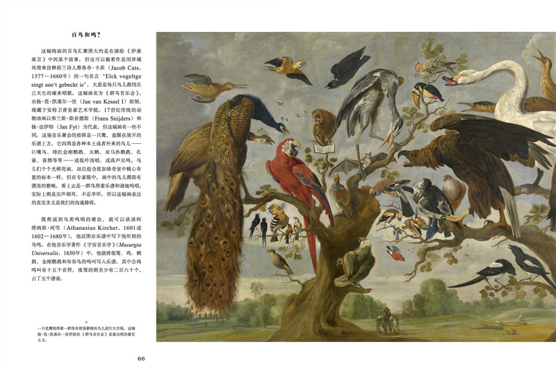 [正版]探险家的异域之旅 800年以来的奇珍发现与收藏 中世纪 现代 美洲非洲亚洲探索收藏之旅 百余件稀世珍品 异域收高清大图