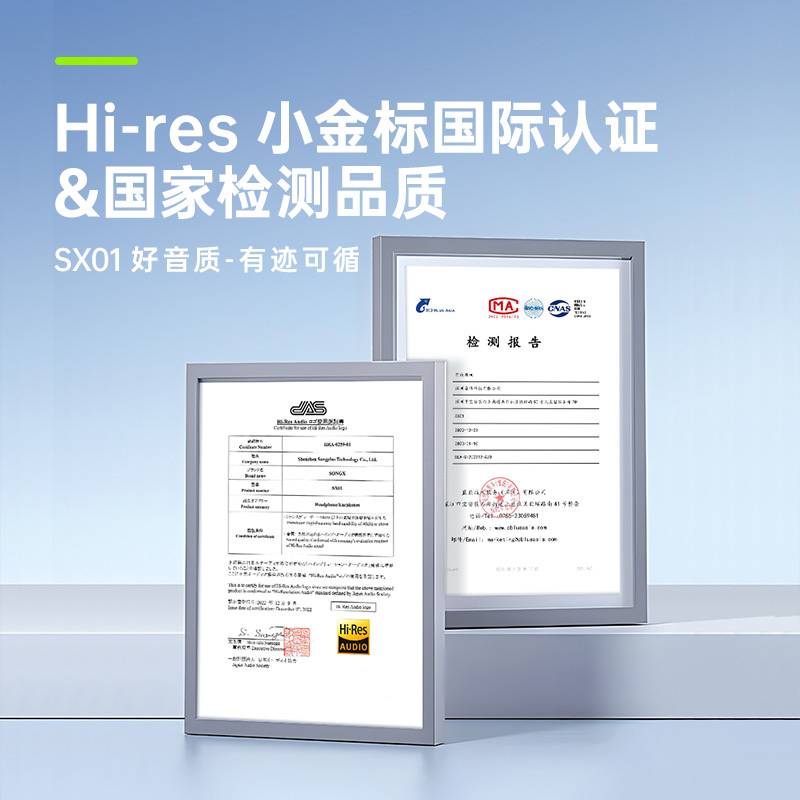 SONGX 有线耳机type-c入耳式耳机Hi-Res金标认证K歌游戏华为小米vivo苹果15手机ipad通用扁头