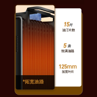 扬子油汀取暖器家用速热电暖气片室内取暖器电热油酊浴室