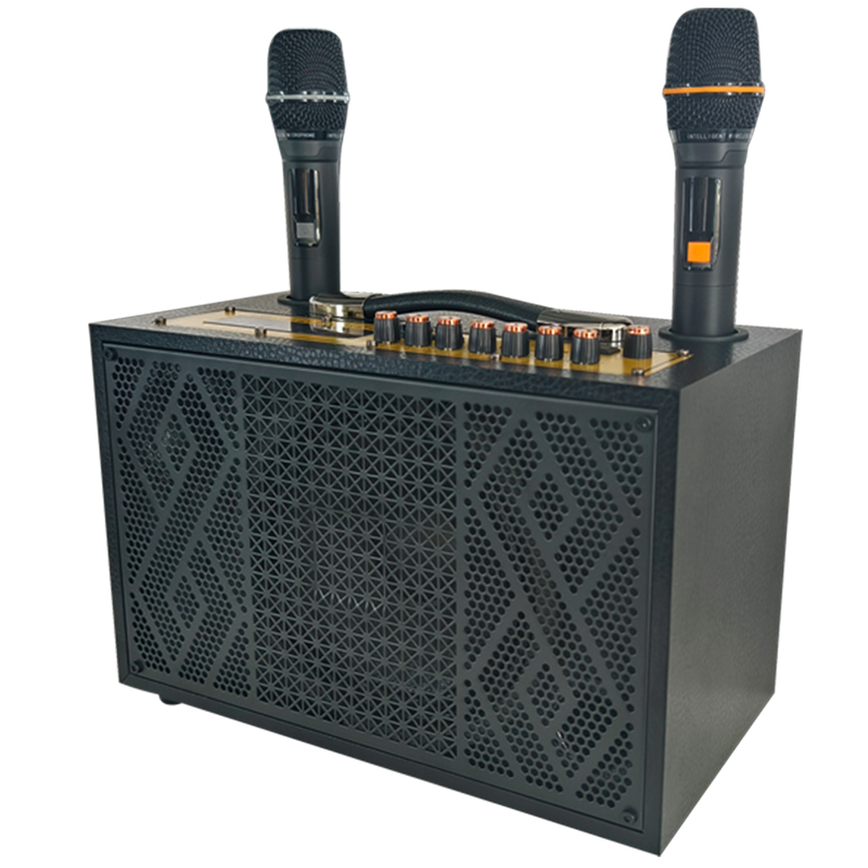 润普Runpu会议扩声手提音箱卡拉OK户外直播带无线话筒便携式会议音箱RP-EX10高清大图