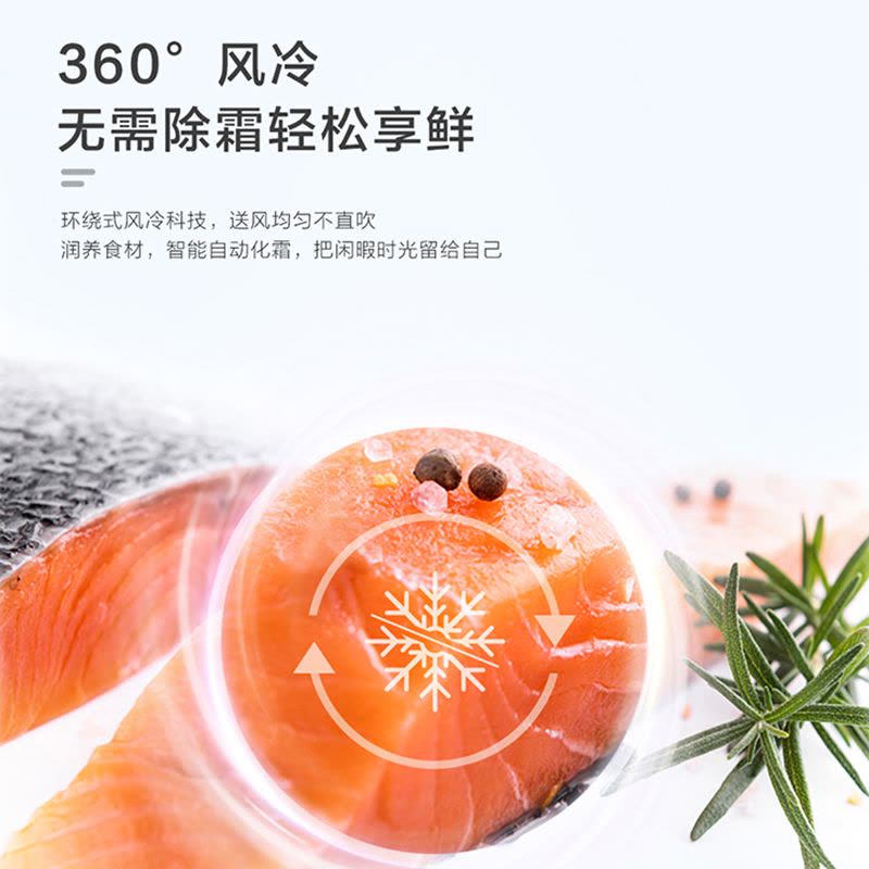 统帅(leader)海尔出品 618升对开门超薄冰箱 一级双变频 黑金净化 BCD-618WGLSSEDW9图片