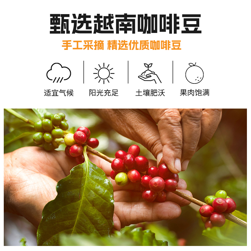 越南进口wake up威拿247咖啡风味碳酸饮料330ml*1瓶添加牛磺酸 提神