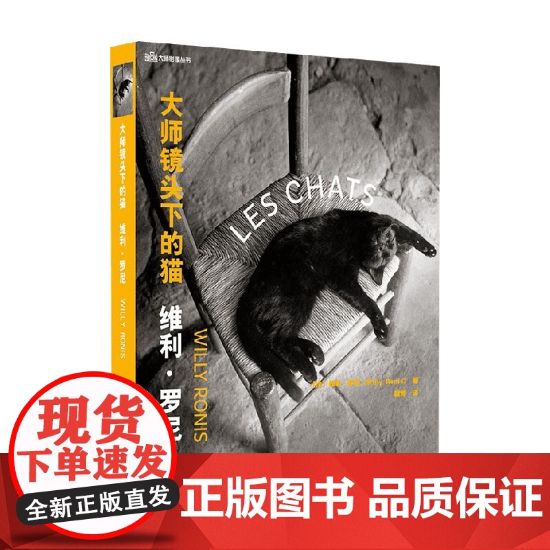 大师镜头下的猫 维利·罗尼 著 摄影高清大图