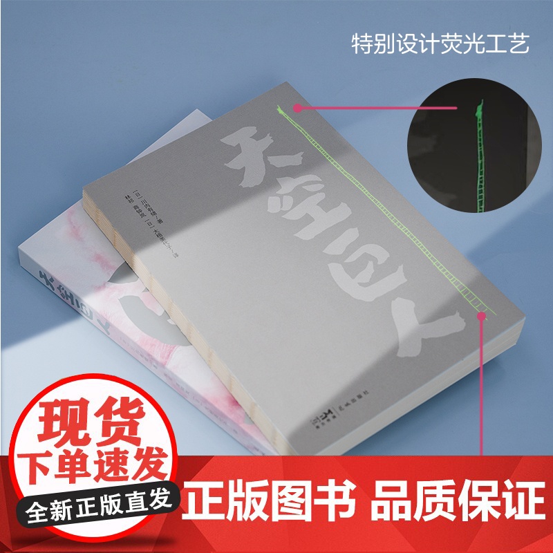 天空巨人 艺术家蔡国强与福岛的奇迹合作 双人传记 纪实文学 花城出版社高清大图