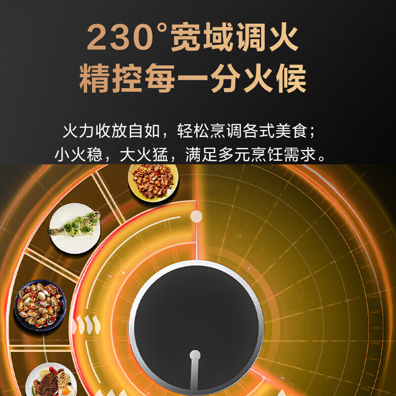 苏泊尔(SUPOR)燃气灶JZY-Z-Q8S液化气智能定时燃气灶煤气灶双灶灶具猛火全进风台式嵌入式(液化气)