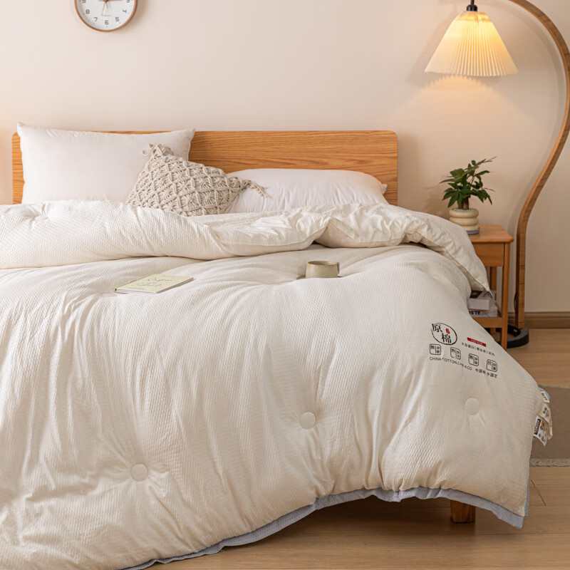 啄木鸟plover冬暖夏凉四件套纯棉亲肤抗菌防螨舒适设计床上用品啄木鸟(PLOVER)泡泡纱豆豆被 ZMN-DB006高清大图