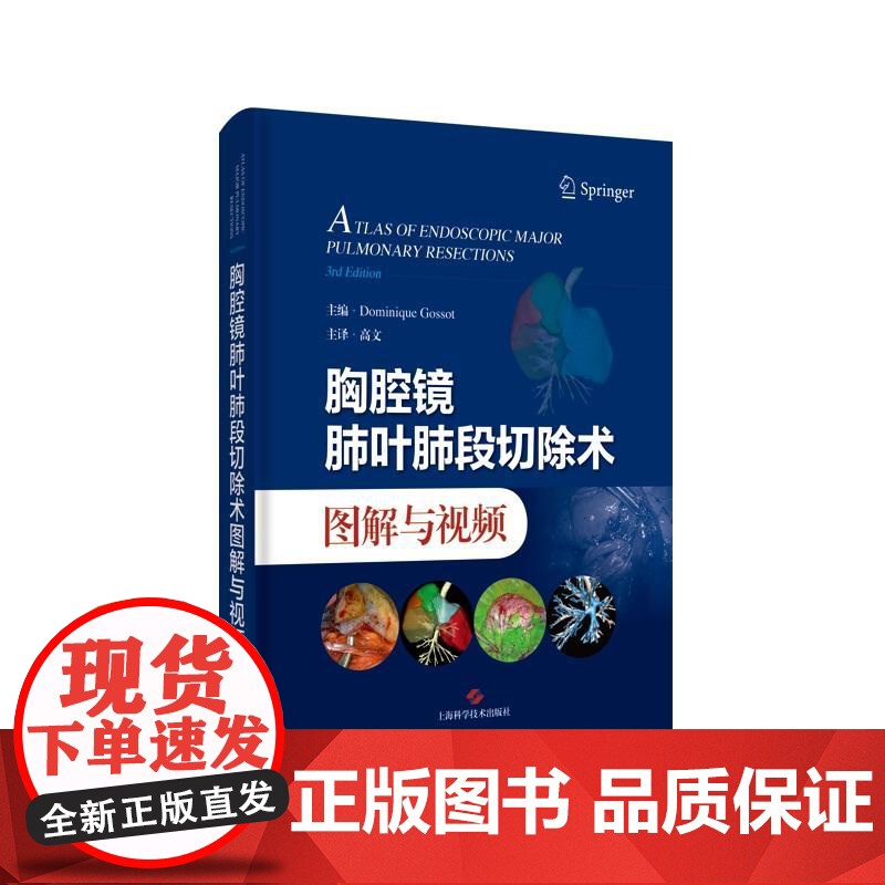 胸腔镜肺叶肺段切除术图解与视频 上海科学技术出版社CT三维重建影像展示解剖学结构胸腔镜图谱肺叶肺段切除技术操作提高专业技高清大图