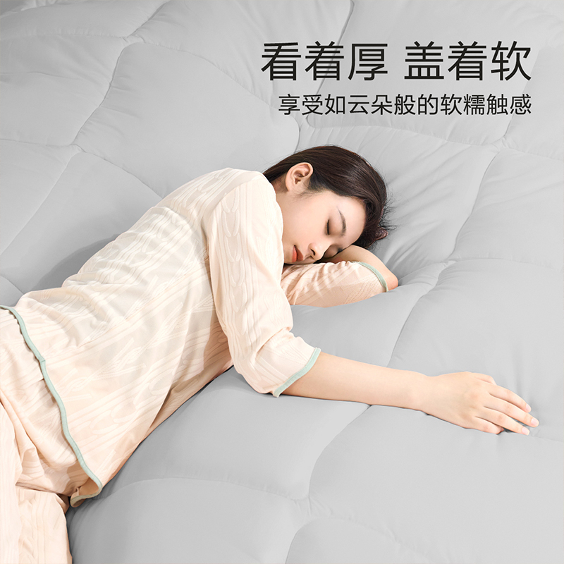 富安娜家纺七孔抗菌春秋被冬季被芯二合一被单人双人被芯