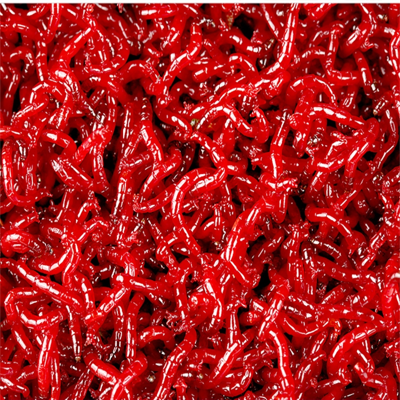 众佑鲜活红虫特大号公虫活体活饵喂鱼饵拉饵鲫鱼野钓饵料钓鱼蚯蚓鱼饵