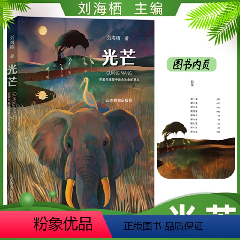 全一册 [正版]光芒 刘海栖 暖心童话 立足正义 有趣 生命教育 关于大象的书 暖心治愈 人与自然 奇遇人生小学生课外阅
