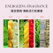 卡诗(KERASTASE)赋源芯丝沁透元气姜洗发水粉瓶生姜洗发露丰盈蓬松柔顺清洁控油护发防断发小样旅行装80ml