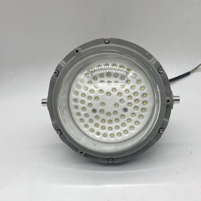 驰洛科 CLSF50-100TB 220V 100W IP65 三防灯 (计价单位:个) 银灰色高清大图