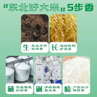 十月稻田长粒香米5kg东北香米