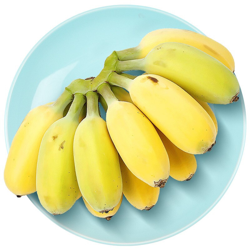 1号鲜客(freshman) 广西小米蕉5斤 香蕉 新鲜水果