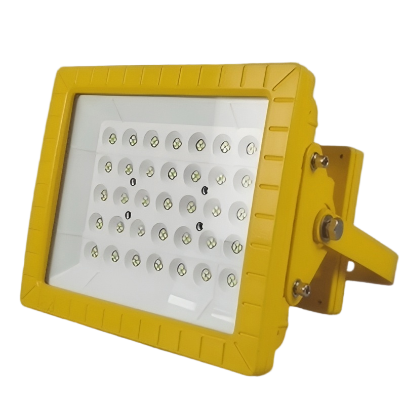 旭升CXS CGBT0301L(A) IP66 5000K LED防爆投光灯 黄色100W高清大图