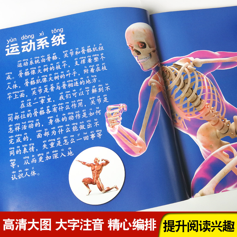 [任选3本39元]兵器百科 [正版]人体大百科全书注音版人体的奥秘儿童少儿科普绘本小百科读物科学启蒙认知幼儿宝宝3-6-