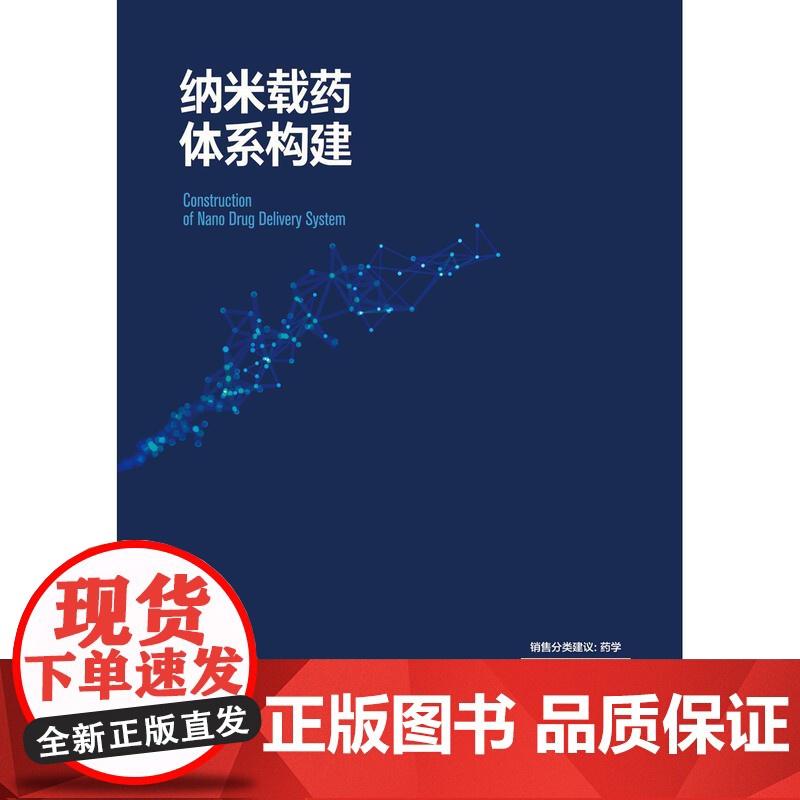 纳米载药体系构建高清大图