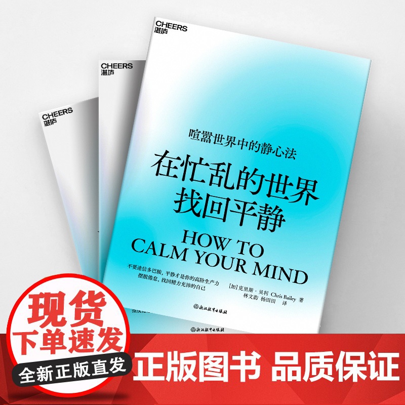 在忙乱的世界找回平静 克里斯·贝利 平静才是你的高阶生产力 摆脱倦怠,找回精力充沛的自己高清大图