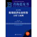 2019年青海经济社会形势分析与预测 2019版