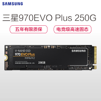 三星(SAMSUNG) 970 EVO PLUS 250GB固态硬盘m.2接口(2280)NVMe协议PCIe3.0台式组装机笔记本电脑ssd固态硬盘(MZ-V7S250)