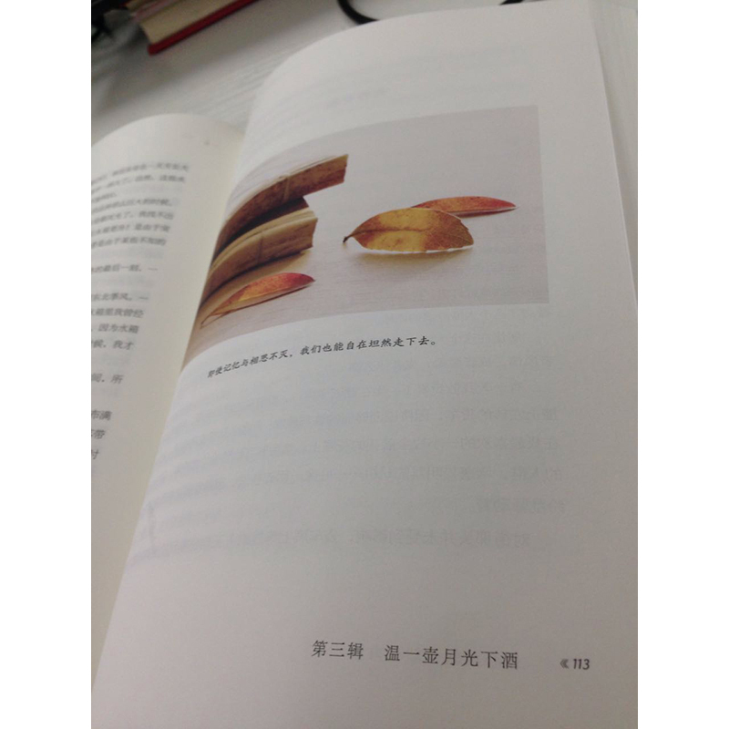 你心柔软,却有力量 林清玄最新散文精选,亲自写长篇序言 ,星云大师,余秋雨,毕淑敏、尹建莉一致推荐 林清玄 著 著