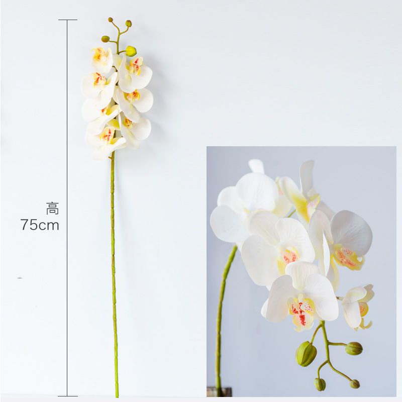 北欧简约现代轻奢仿真假花绢花蝴蝶兰花卉盆栽摆件家居客厅装饰品1支白色蝴蝶兰花报价 参数 图片 视频 怎么样 问答 苏宁易购