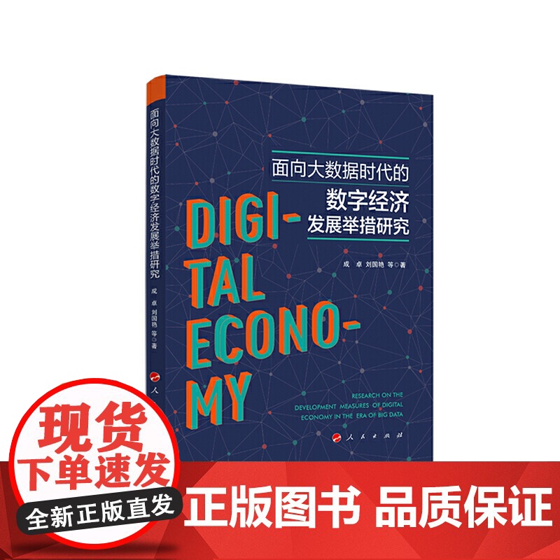 面向大数据时代的数字经济发展举措研究高清大图