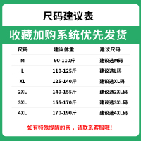 狮臣SHICHEN 2023年秋季新款男士卫衣套头长袖卫衣圆领套头卫衣男潮百搭青少年打底衫男运动卫衣男装