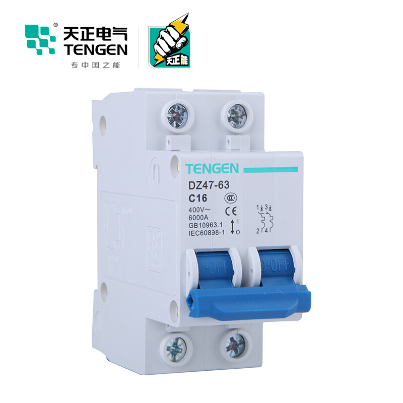 天正电气 空气开关 DZ47-63 2P C 16A 4.5KA 01060020254 微型断路器