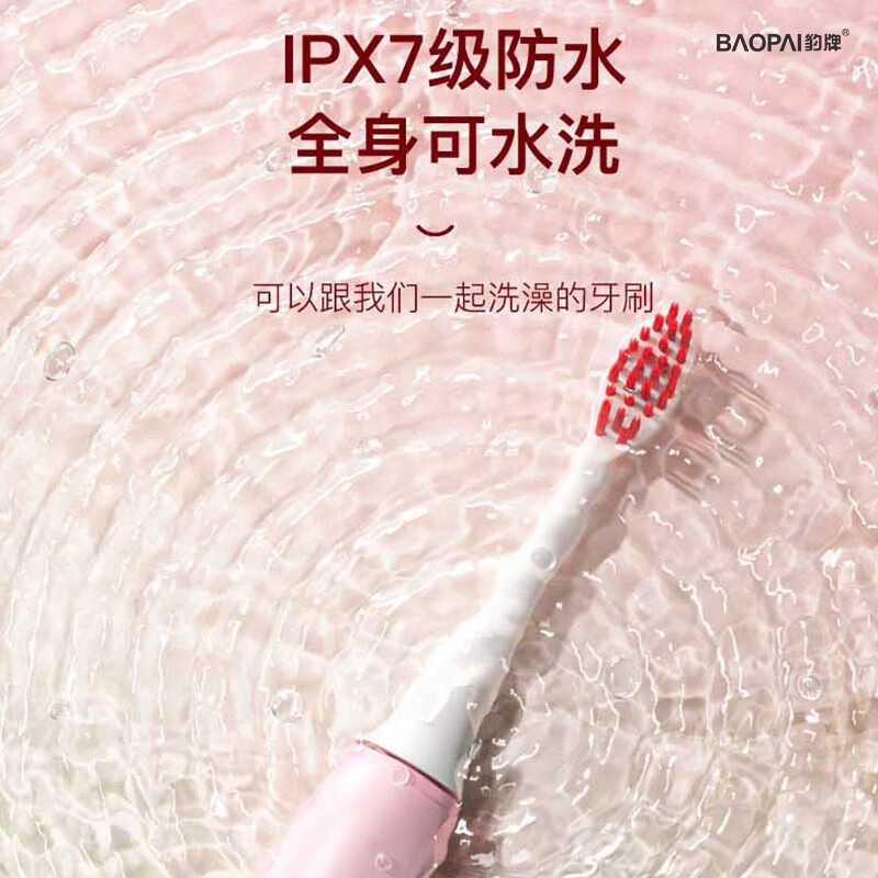 豹牌 BP-DT09 声波电动牙刷高清大图