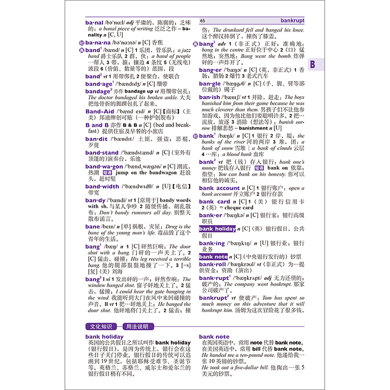醉染图书外研社实用多功能英汉词典9787521315073高清大图