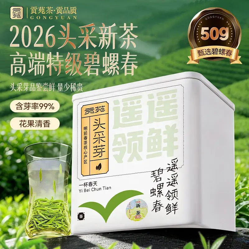 贡苑2024年新茶头采碧螺春50g 【遥遥领鲜】