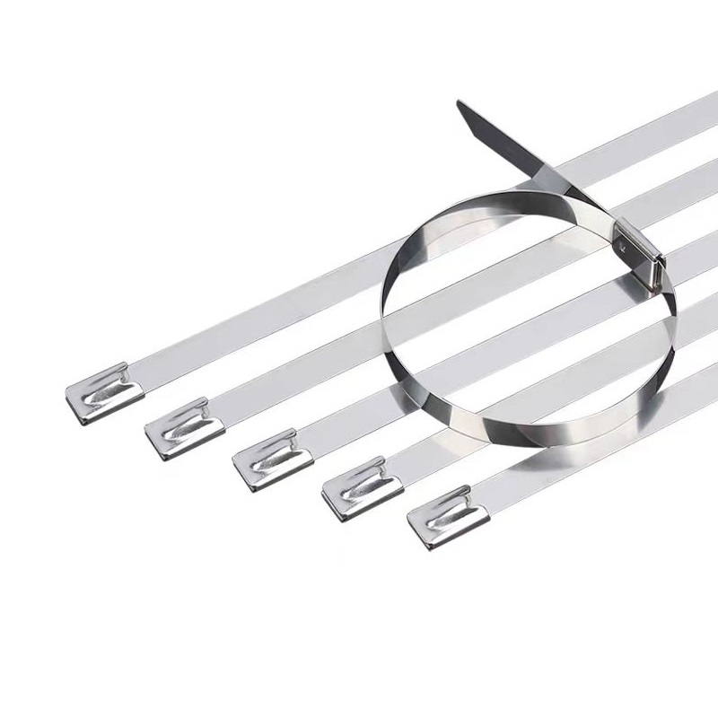 盛京联硕 不锈钢扎带 高强度户外收紧器12×600mm[100条]包高清大图