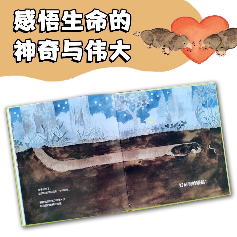 好厉害的鼹鼠 [正版]北斗好厉害的鼹鼠精装绘本 3-6岁幼儿童早教启蒙认知绘本 幼儿园睡前故事书 领略生命的神奇与伟大高清大图