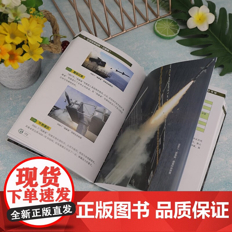 全球导弹鉴赏 珍藏版 世界武器鉴赏系列 《深度军事》编委会 编著 政治军事高清大图