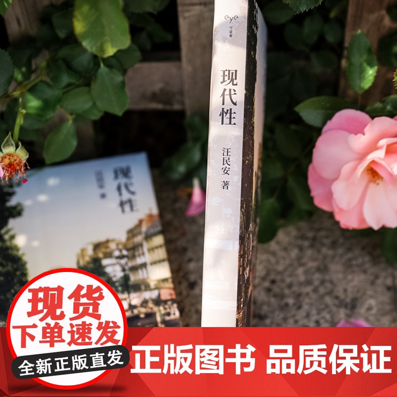 现代性 汪民安 著 社会科学高清大图