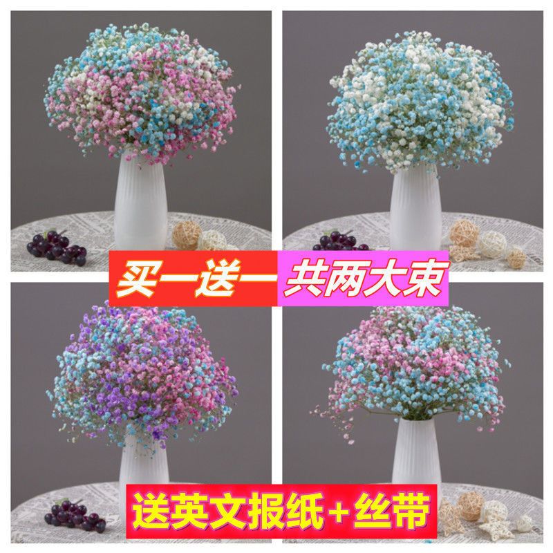 云南满天星干花花束真花鲜花大束直发勿忘我客厅摆件装饰插花|蓝粉紫满天星 一斤鲜花晾晒(送英文报纸+丝带)