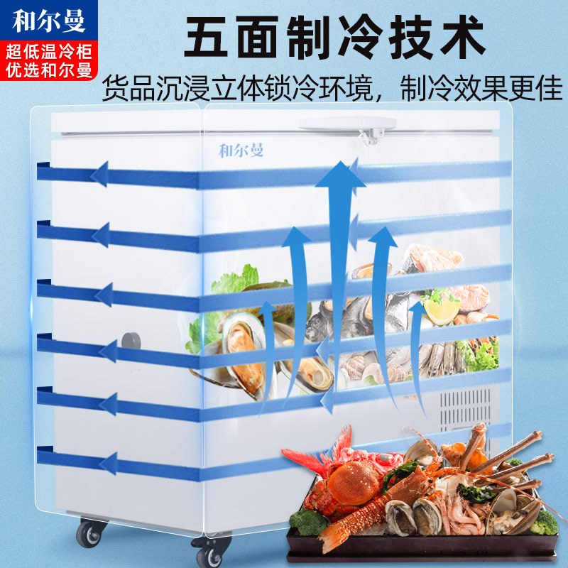 和尔曼 170升超低温水产冷柜 商用卧式冰柜 -80℃海鲜餐厅日料店金枪鱼商用水产保存箱DW-80W170A